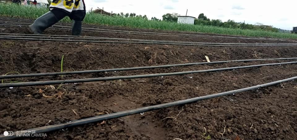 CS Njeru Commissions Water, Irrigation Projects in Nyeri