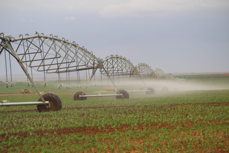 Areas Under Irrigation to Reduce Food Imports By 30%