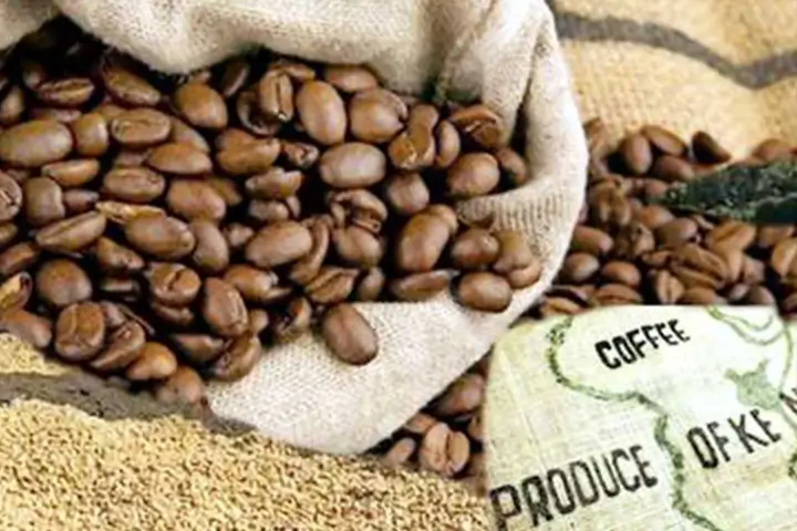 Confidence Returns to Coffee Market After State-Led Reforms