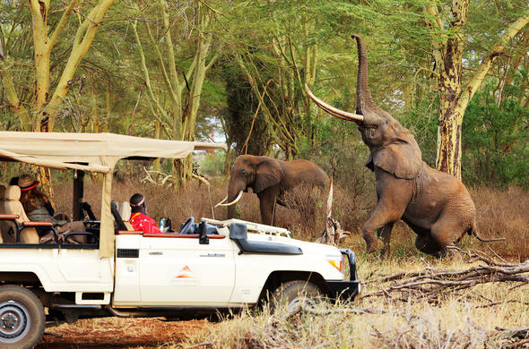 New York Times Ranks Tsavo National Park Among Top Travel Destinations Globally