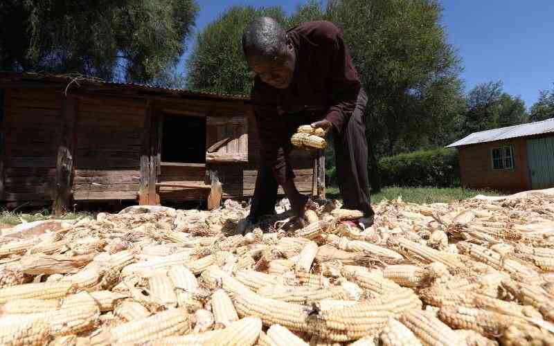 Govt Keen on Helping Farmers Reduce Post-Harvest Losses