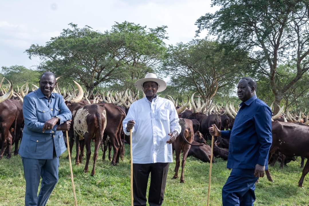 In Pictures: Presidents William Ruto, Yoweri Museveni and Raila Odinga Meet in Uganda