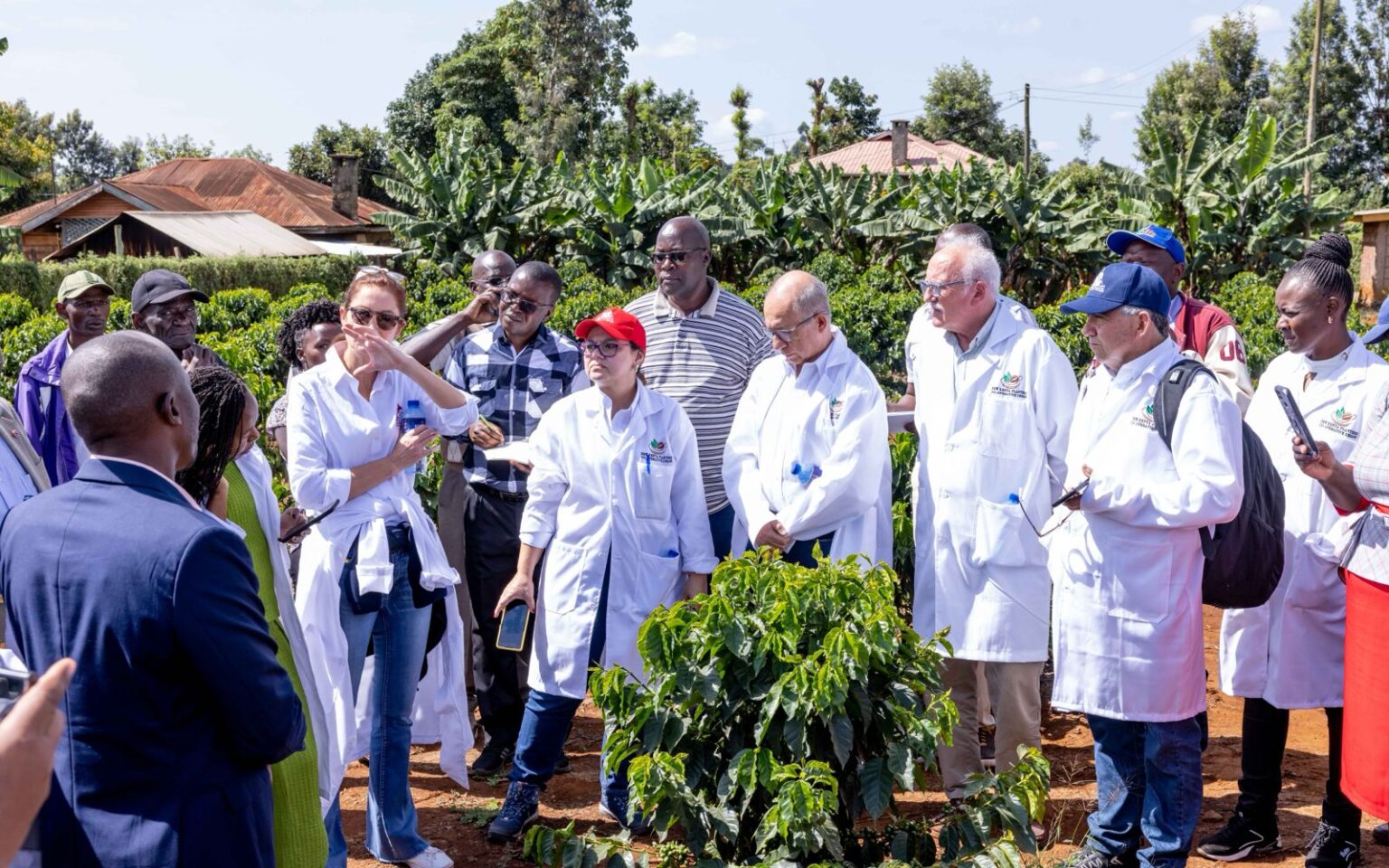 Colombia Coffee Farmers, Researchers Visit Kenyan Farms For Knowledge Sharing
