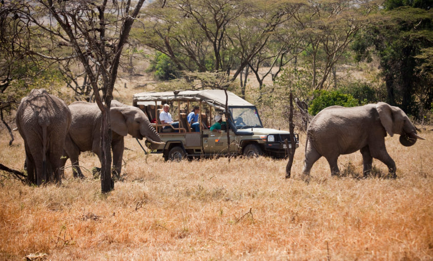 Kenya’s Tourism Earning Shoots Up in 2024