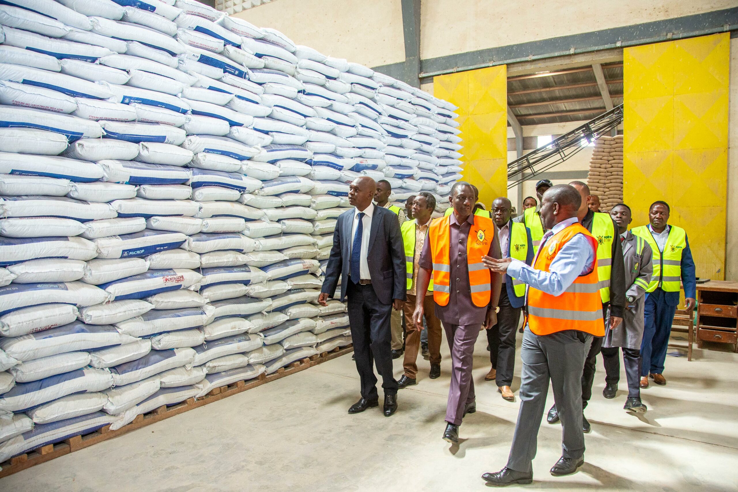 President Ruto: We Have Enough Fertilizer for All Kenyan Farmers