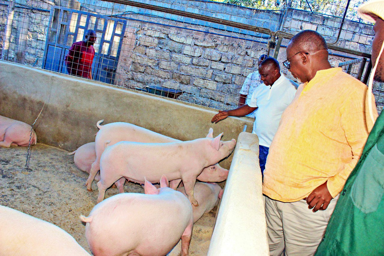 Agriculture Ministry Urges Kenyans to Leverage the National Agriculture Value Chain