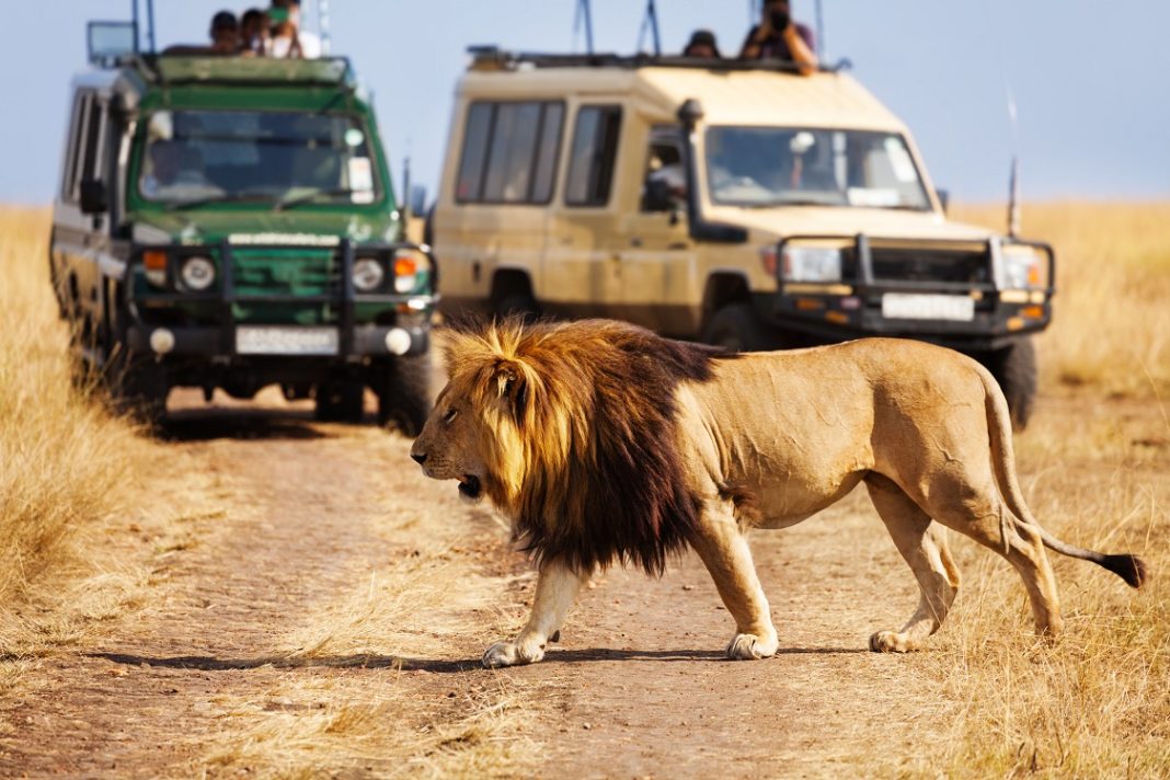 Kenya’s Tourism Sector Thrives as 2023 Sees Surge in Visitor Arrivals