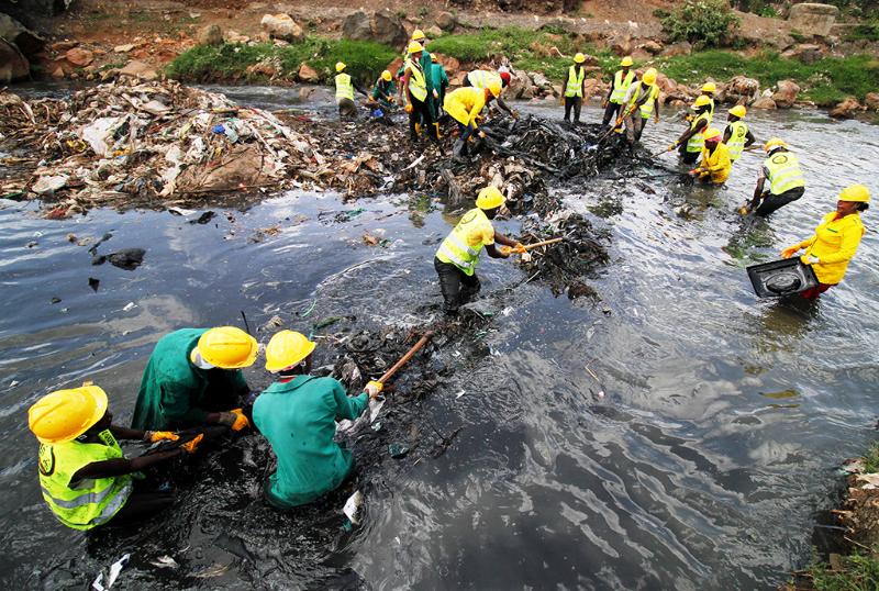 Why Govt Is Planting Trees On Reclaimed Nairobi River Riparian Land